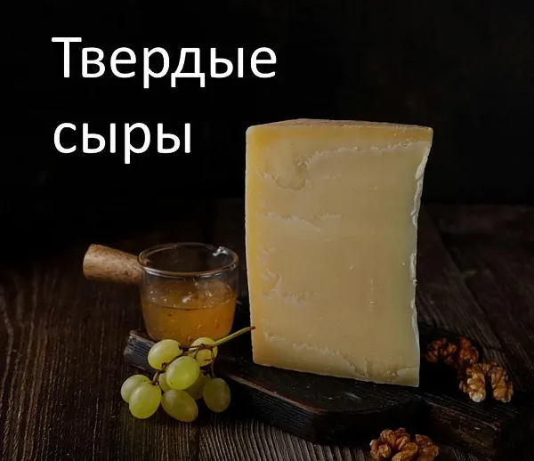 Твердые сыры