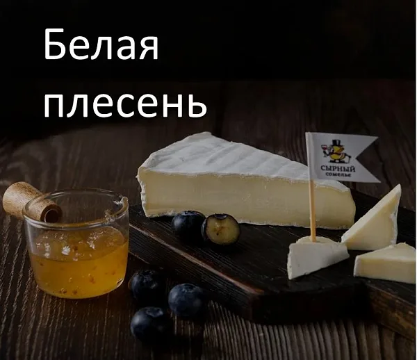 Сыры с белой плесенью