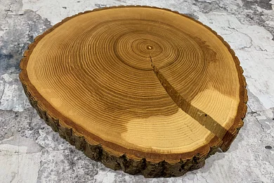 Сырное плато бол.